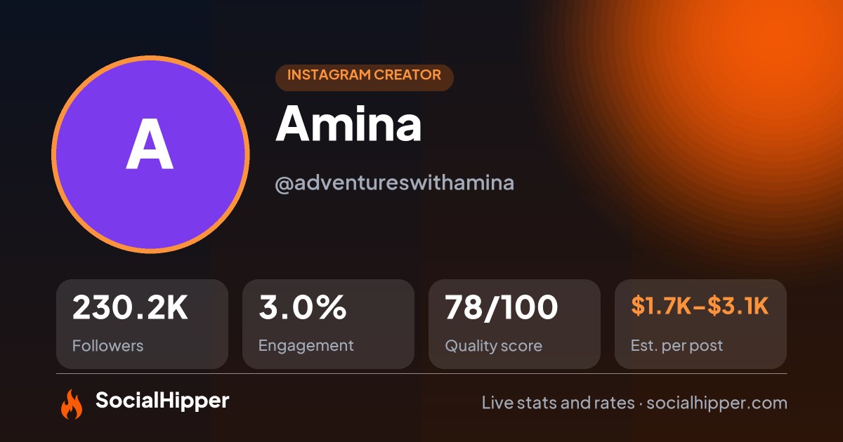 Amina Instagram stats on SocialHipper
