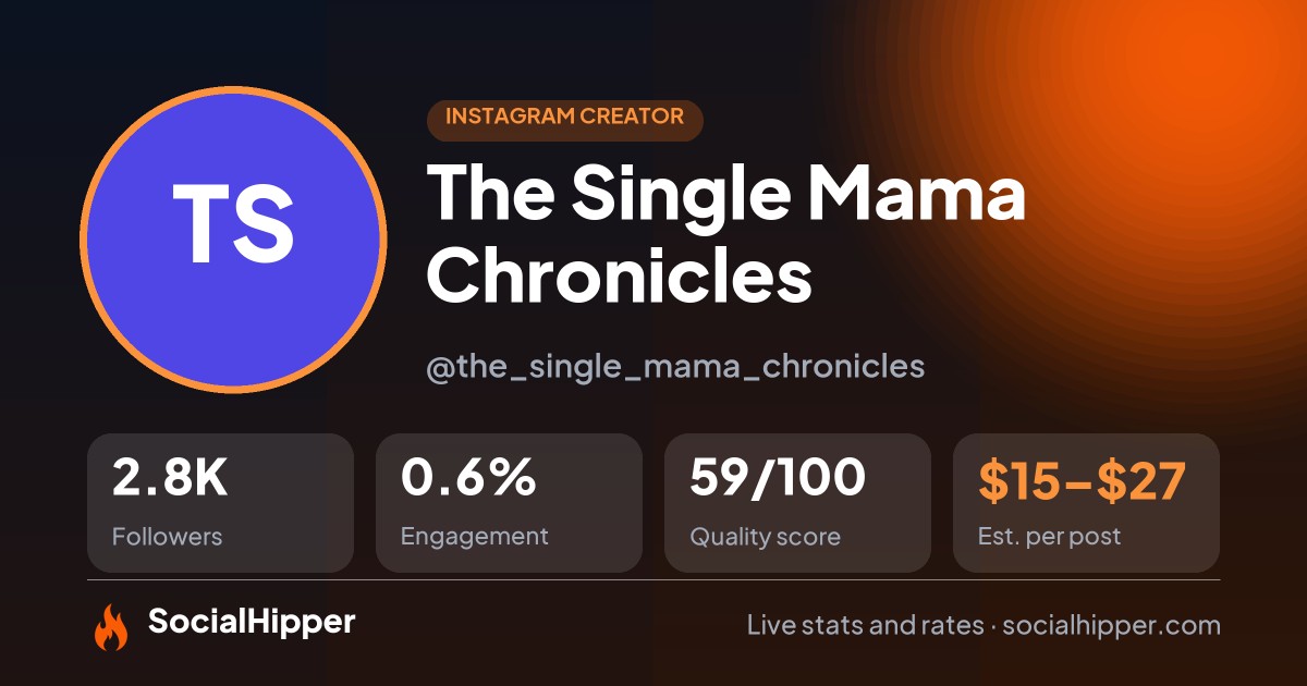 The Single Mama Chronicles Instagram stats on SocialHipper